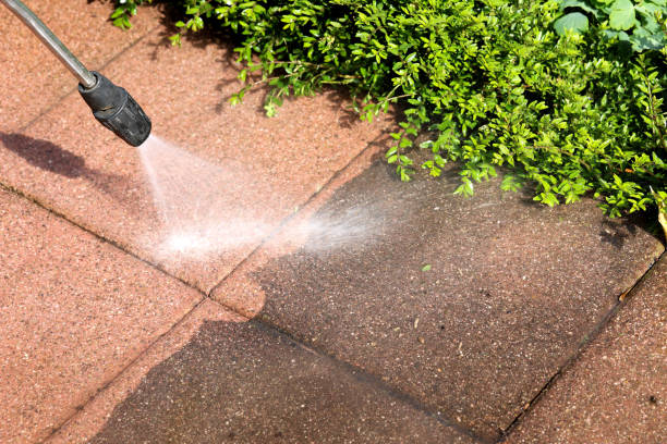 Best Fence Pressure Washing  in Rogue River, OR