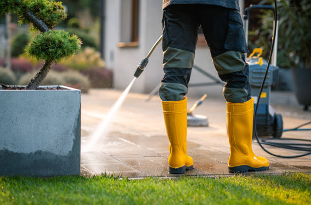 Best Power Washing Near Me  in Rogue River, OR